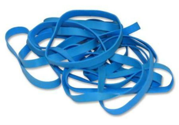 Scallop Shell Rubber Bands