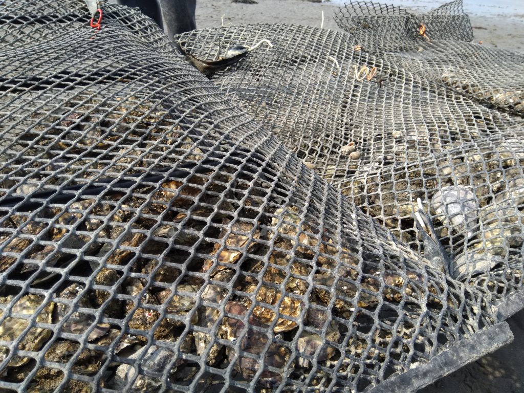 Booster Spacer System in an oyster bag beside one without, clearly showing the increased volume available in the bag.