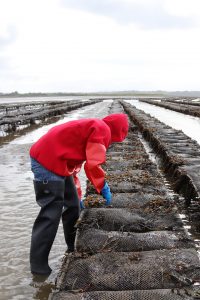 Rinse mud and salt water off boots to avoid allowing the material to dry and crack