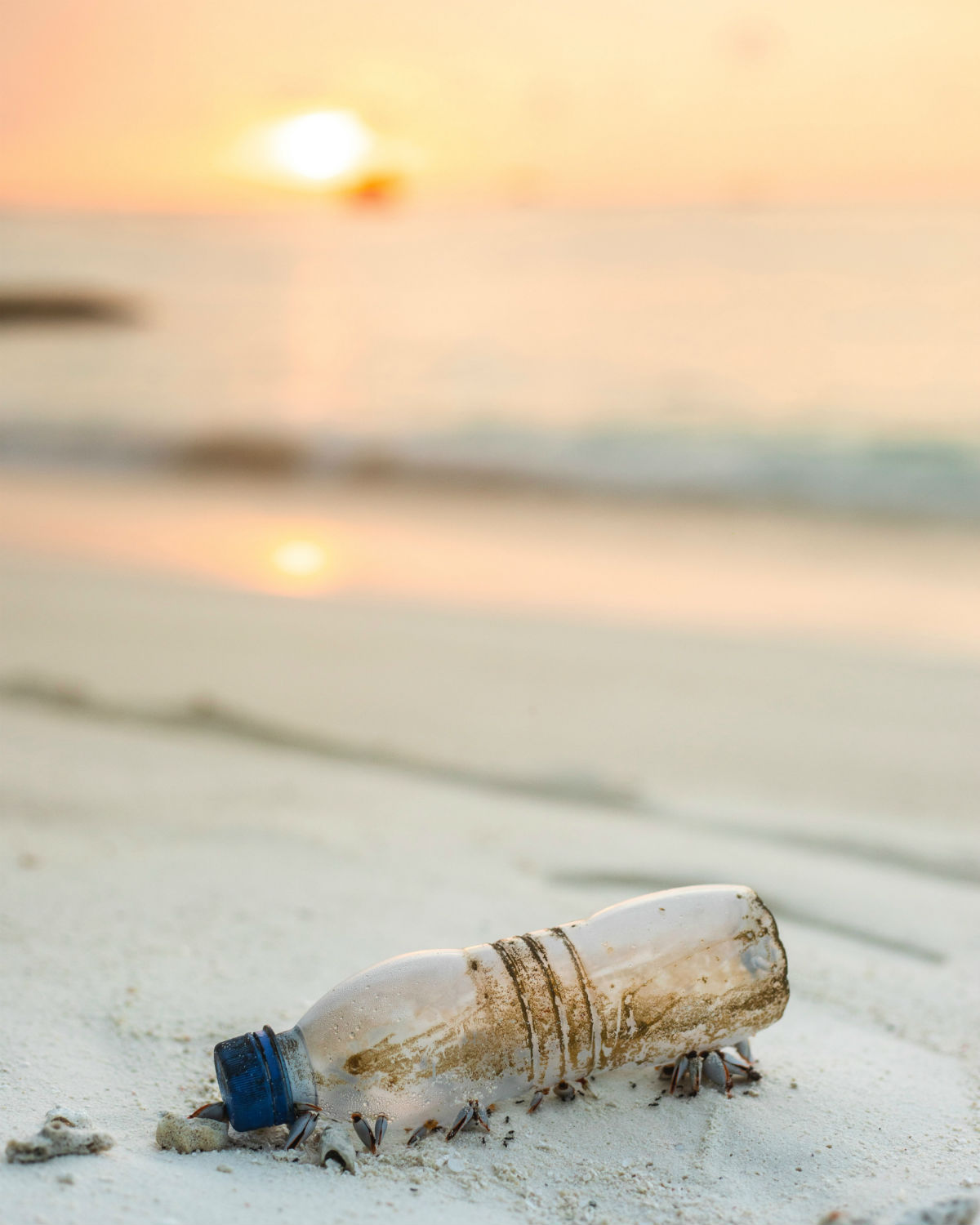 Plastic In Our Oceans