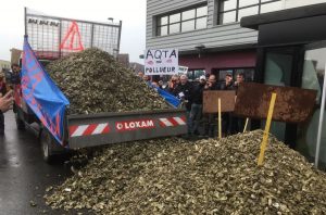 Oyster Growers Strike in France over Norovirus Outbreak