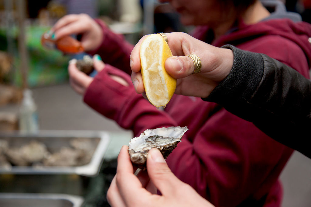 Oysters