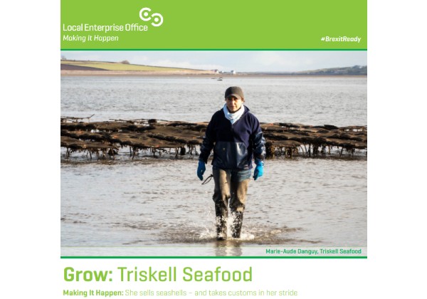 Triskell Online