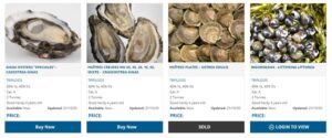 Triskell Seafood Ltd have announced this month that their new Online Shellfish Sales Portal is live. They are inviting growers across the country to get in touch and get involved!