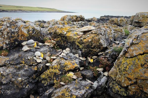 Report of the Seafood Task Force – Navigating Change – The way forward for our Seafood Sector in the wake of the EU/UK Trade & Cooperation Agreement