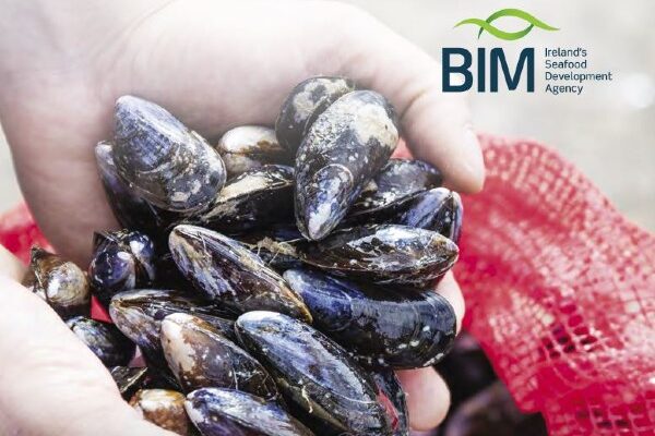 BIM Annual Aquaculture Report
