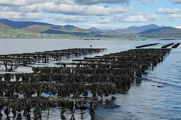 Shellfish Safety Workshop