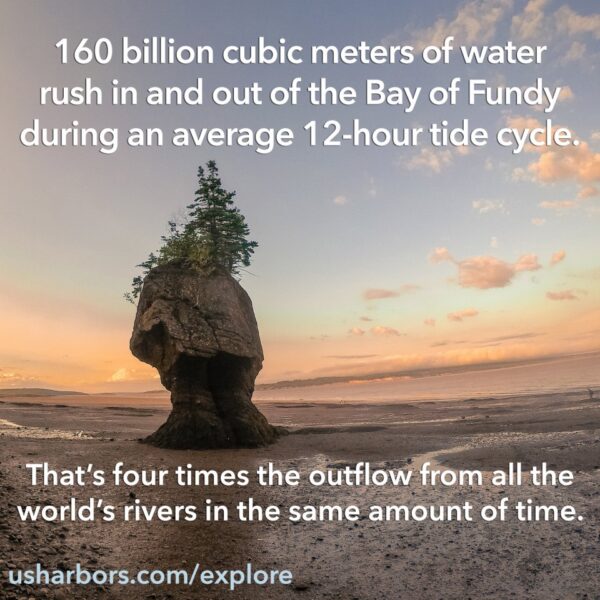 13 Fascinating Facts about Tides